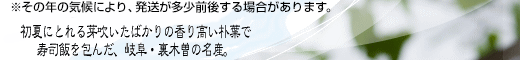 朴葉(ほうば)で寿司飯を包んだ、岐阜・裏木曽の名産。
